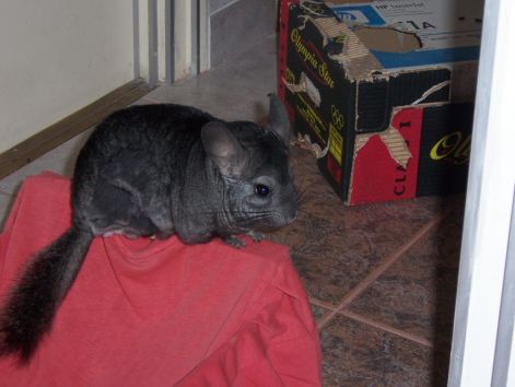 000_0225.jpg 000_0225.jpg