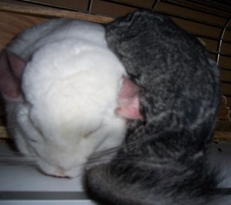 000_0840.jpg 000_0840.jpg