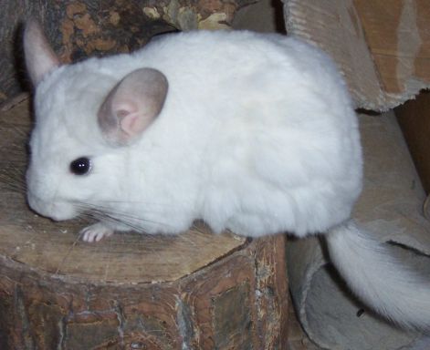 000_0851.jpg 000_0851.jpg