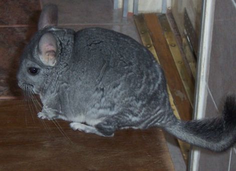 000_0857.jpg 000_0857.jpg