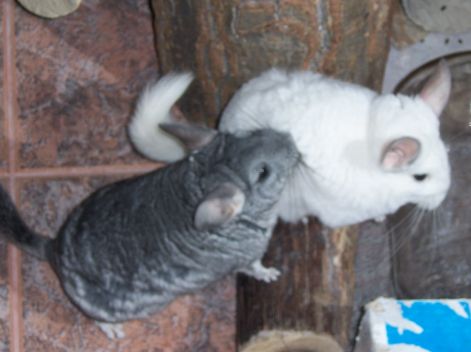 000_0876.jpg 000_0876.jpg