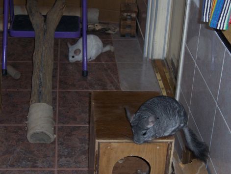 000_0880.jpg 000_0880.jpg