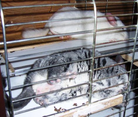 000_0920.jpg 000_0920.jpg