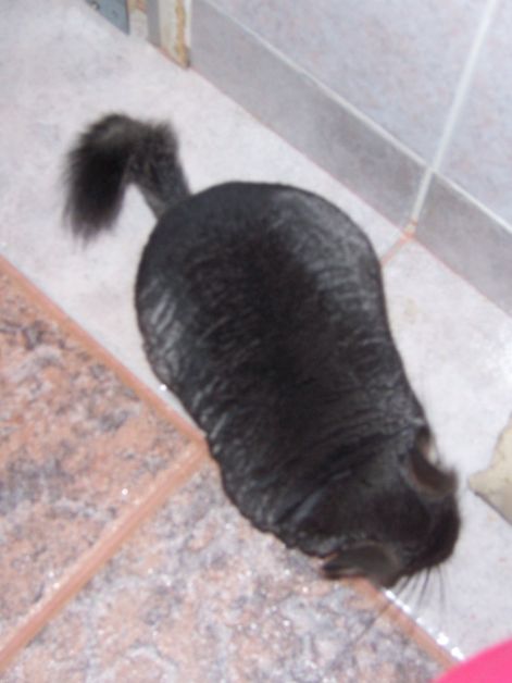 000_3435.jpg 000_3435.jpg