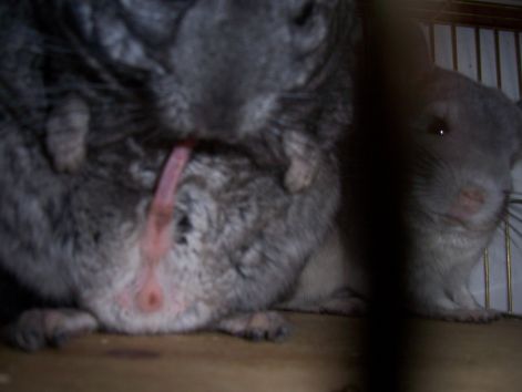 000_7548.jpg 000_7548.jpg